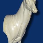 C1008 Steppin' Out Aggressive