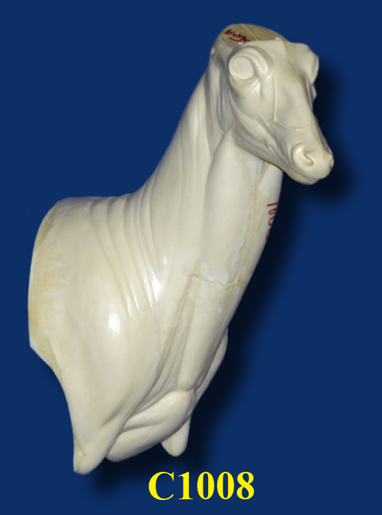 C1008 Steppin' Out Aggressive