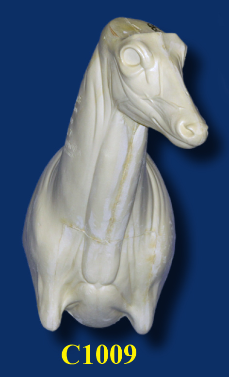 C1009 Steppin' Out Aggressive