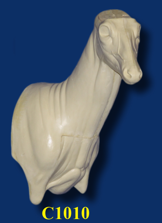 C1010 Steppin' Out Aggressive