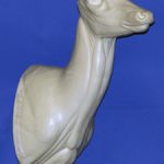 C123 Doe Shoulder Form