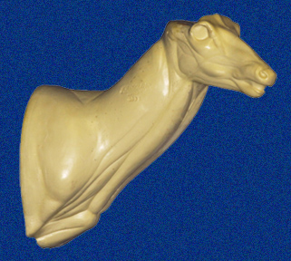 C158 Open mouth Specialty