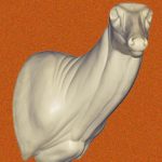 C170 Semi-Sneak Buck Shoulder