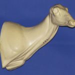 C172 Doe Shoulder Form