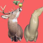 C180 Open Mouth Specialty