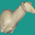 C706 Semi-Sneak Buck Shoulder