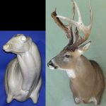 C824R Semi-Sneak Sweep