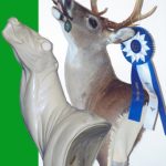 C950 Pivot Pedestal Chewing Left Turn