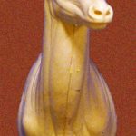 CA005 Antelope Upright Left Turn