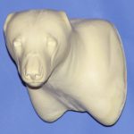 CBBR11 Black Bear - Shoulder