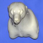 CBBR31 Black Bear - Shoulder