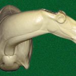 CCB16 Caribou 90 Degree Left Turn Shoulder Mount