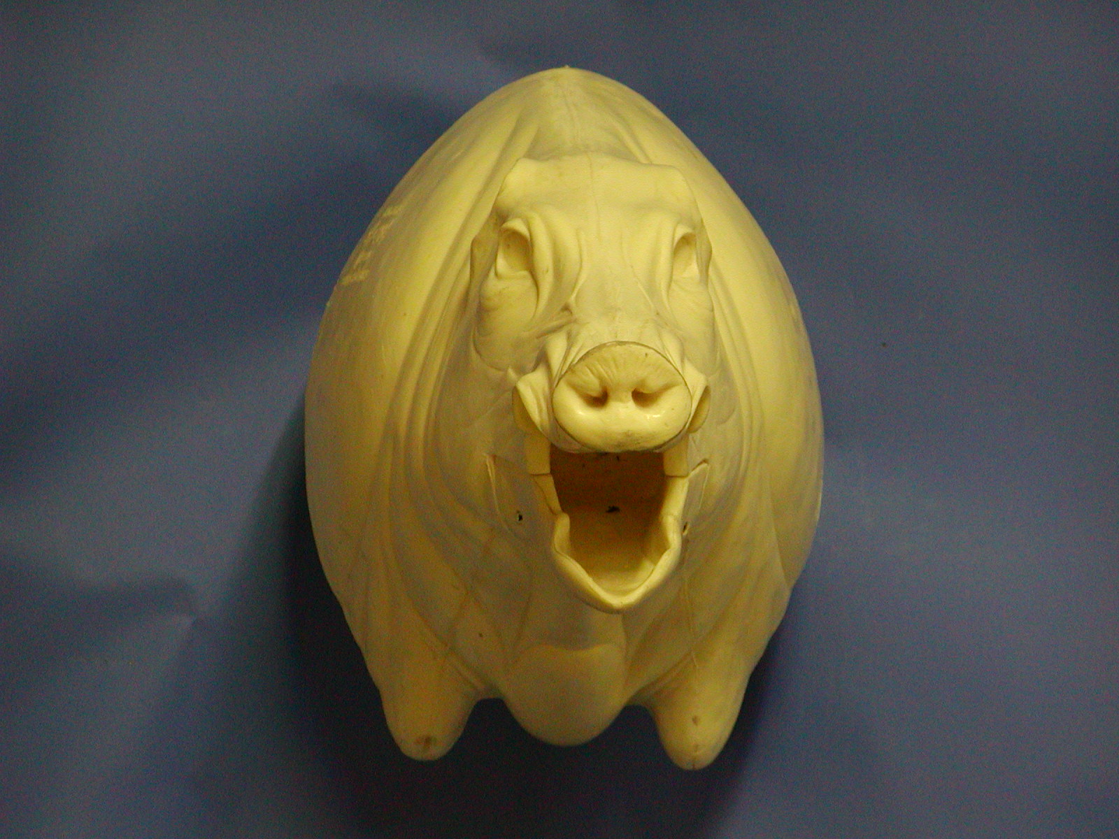 CEB24S Euro Boar - Open Mouth