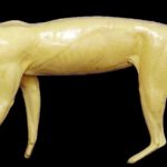 CFBC602 Bobcat by Darin Flynn