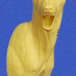 CFC403 Coyote - Shoulder - Darrin Flynn