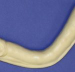 CFT138 Turkey Head & Neck with Eyes