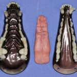 CJS141 Coyote Jaw Set