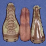 CJS150 Arctic or Grey Fox Jawset