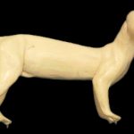 CKWFS1 Fisher by Ken Walker