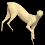 CKWGF1 Gray Fox - Ken Walker