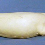 COT2 Otter - Peter Knapton