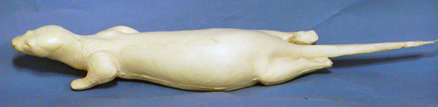 COT2 Otter - Peter Knapton