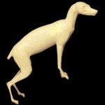 CRF3 Red Fox - Peter Knapton