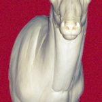 CSHP102 Sheep - (Mouflon/Corsican)