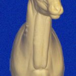 CSHP109 Sheep - (Mouflon/Corsican)