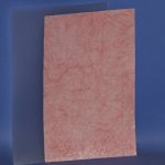 CST77 Septum Sheet by Ray Murphy