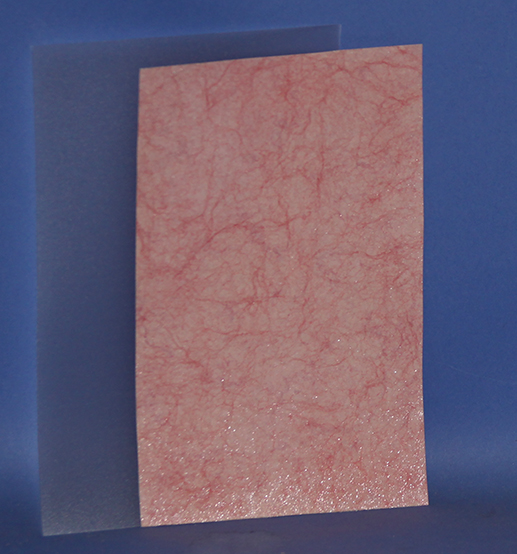 CST77 Septum Sheet by Ray Murphy