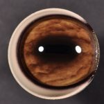 Fallow Pre Rotated 32 MM