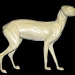 CVH090 Arctic Fox - Vic Heincker