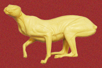 CVH153 Bobcat - Set To Leap - Vic Heincker