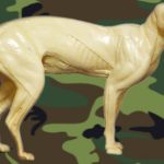 CVH154 Bobcat - Standing, Right Turn - Vic Heincker