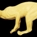 CVH155 Bobcat - Stalking on a Limb - Vic Heincker