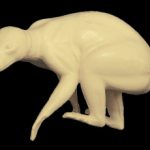 CVH405 Raccoon - Vic Heincker