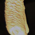 ETHD1NP Hanging Dead Medium - Not Painted