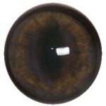 GF14 Gray Fox No Band 14 MM