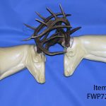 FWP7223L Wall Pedestal Locked Antlers