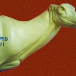 MD011 Semi Sneak Buck Shoulder