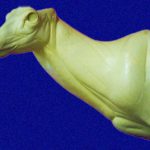 MD012 Semi Sneak Buck Shoulder