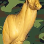 MD032 Upright Buck Shoulder