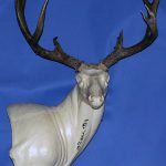 MD7723R Mule Deer Semi Upright Wall Ped. Right