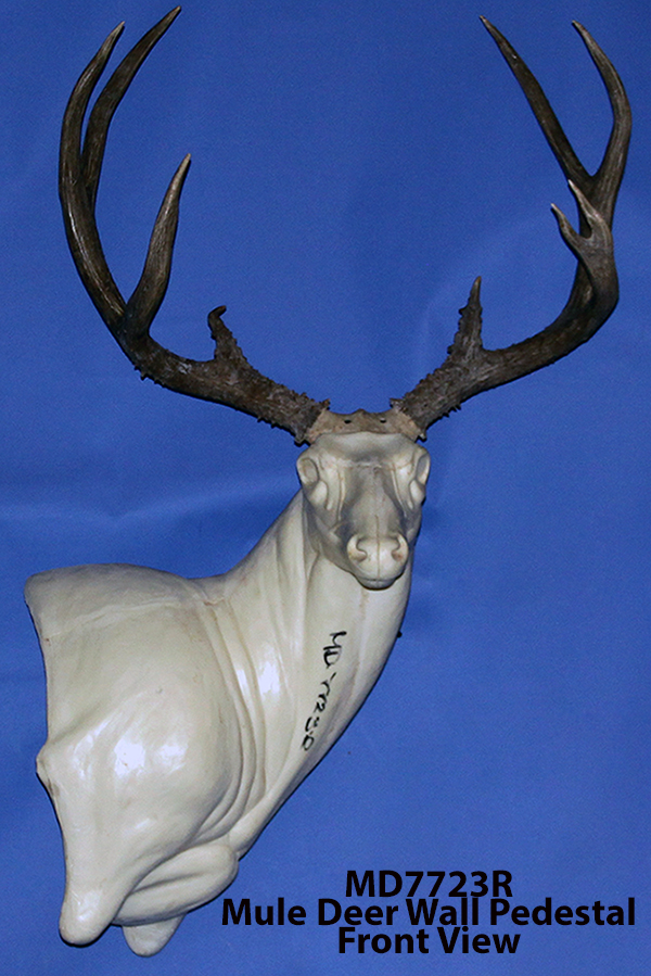 MD7723R Mule Deer Semi Upright Wall Ped. Right