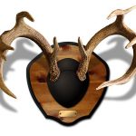 Plaque Master by Mountain Mike's