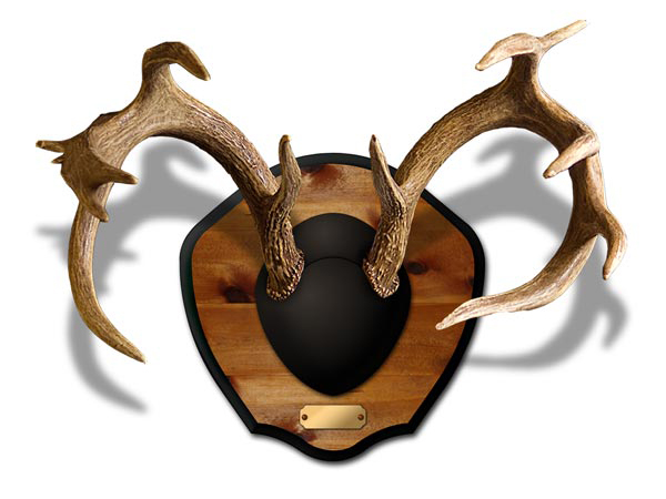 Plaque Master by Mountain Mike's