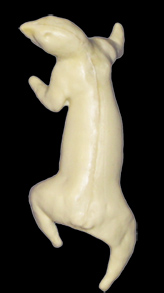 S04 Classics Squirrel Form